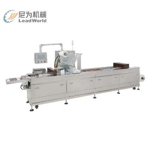 Plastic Cup Container Thermoforming Machine, Certification : CE