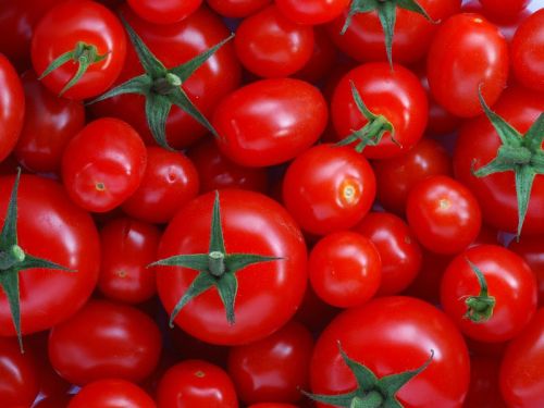 Fresh Tomato, Color : Red