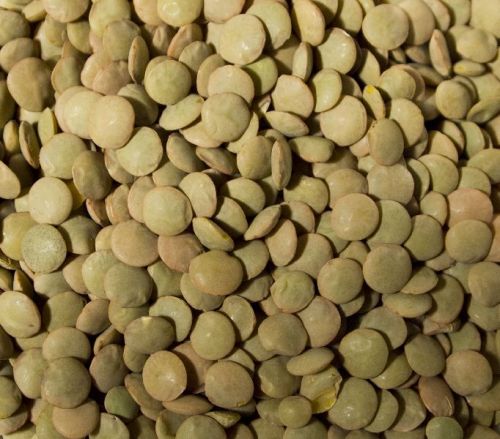 Green Lentils, Packaging Type : Speckled, greeny-blue in colour