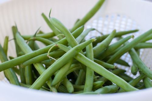 Green Beans