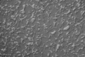 Reaction Bonded Silicon Carbide