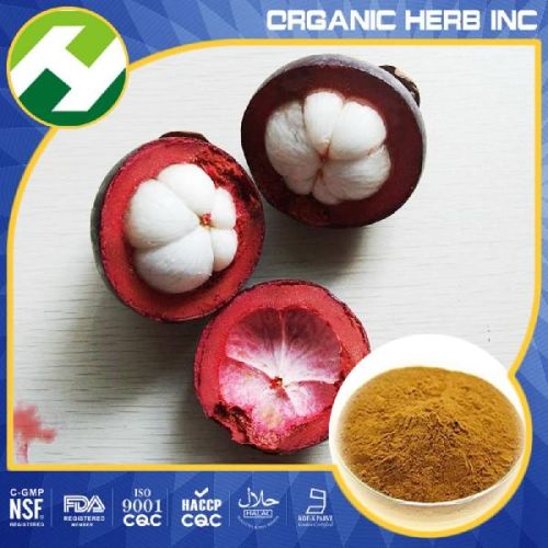 Purple Mangosteen Extract, Brand Name : OHI, Grade : Food Grade