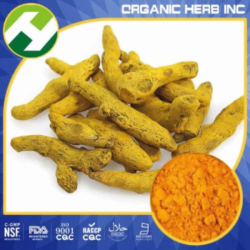 Turmeric Curcuma Longa Extract, Brand Name : OHI, Grade : Food Grade