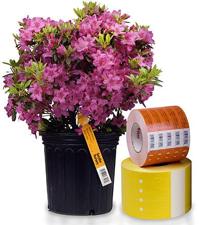 Horticultural Labels