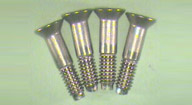 Stainless Steel Adjusting Screw