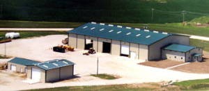 STEEL INDUSTRIAL BUILDINGS