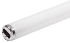 Fluorescent Light Bulbs