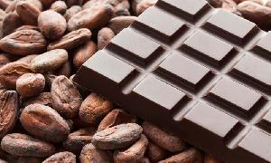 Cocoa beans Form : Beans