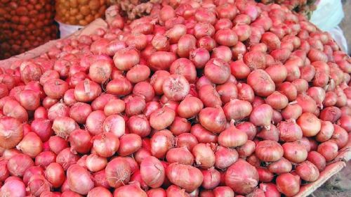 Onions, Packaging Type : Jute Bag