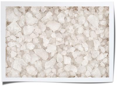 Food Handling Conveyor Belts