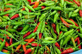 Organic Fresh Chilli, For Cooking, Souce, Feature : Freshness, High Nutrition Value, Hygienically Packed