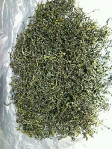 Organic Handmade Green Tea