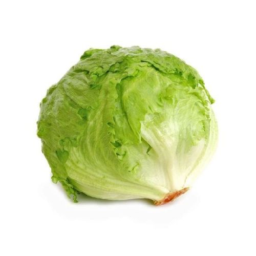 Organic Fresh Iceberg Lettuce, For Pesticide Free, High Nutritive Value, Packaging Type : Plastic Packet