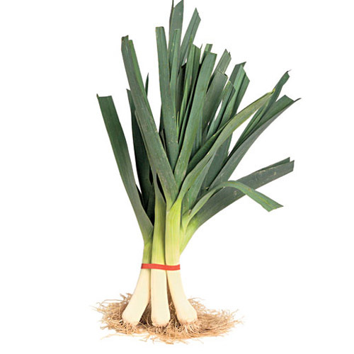 Organic Fresh Leek