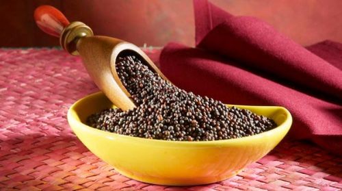 Mustard seeds, Grade Standard : Food Grade