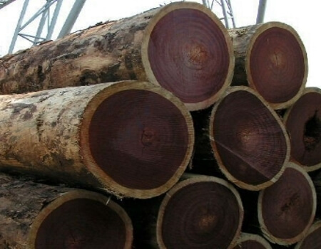 Azobe Wood Logs, Shape : Round, Packaging Type : Brown