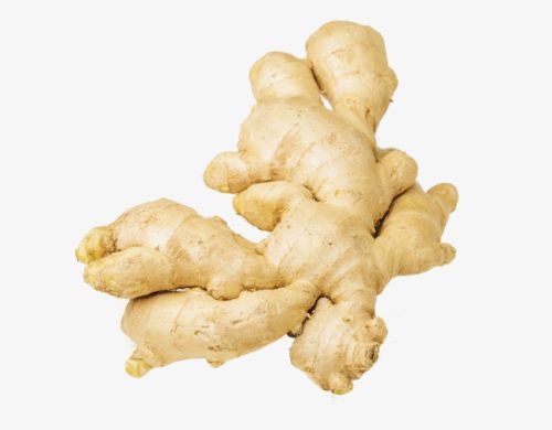 Organic fresh ginger