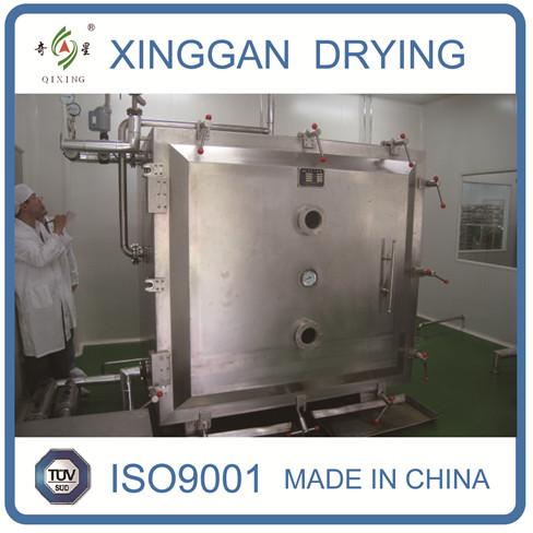 Square Static Vacuum Dryer, Brand Name : XINGGAN