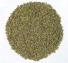 Millet Seeds