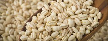 Barley Grains