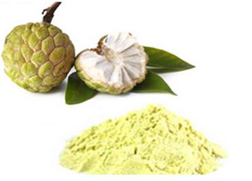 Custard Apple Powder