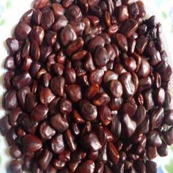 Tamarind Seed, Color : Brown