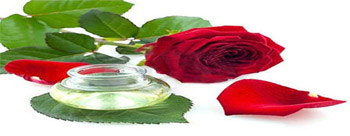 Rose Essential Oil