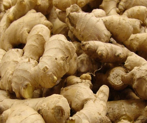 Fresh ginger, Cultivation Type :Organic
