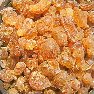 Gum Arabic, Purity : 98% Minimum