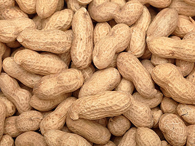 Shelled Groundnuts, Packaging Type : Natural