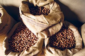 Tiger Nuts, Packaging Type : Brown