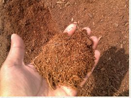 EC 25KG Coir Peat