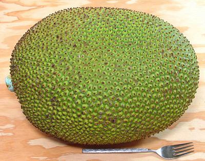 Fresh Jackfruit