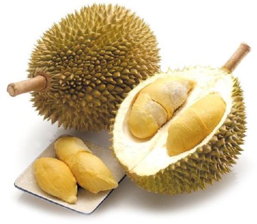Frozen Durian From Vietnam, Packaging Type : Yellow