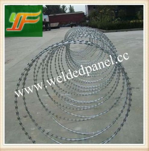 Hot-Dipped Galvanized Razor Barbed Wire