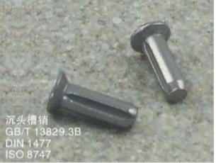  Round Head Grooved Pins