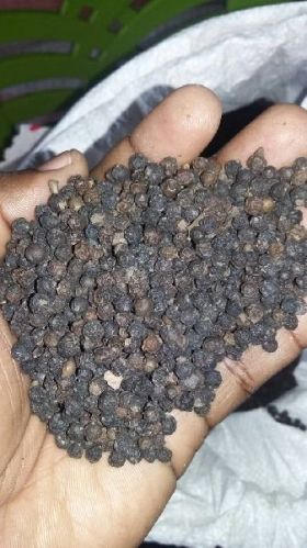 Black pepper, Shelf Life : 1 Year