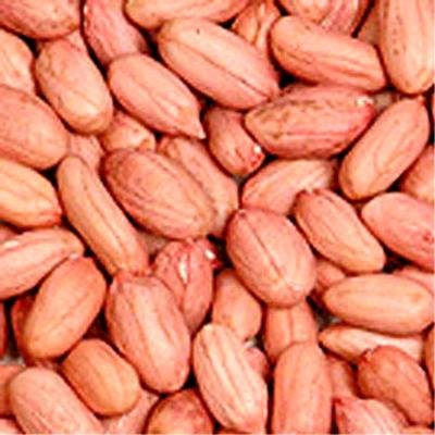 HPS Bold Groundnut Kernels