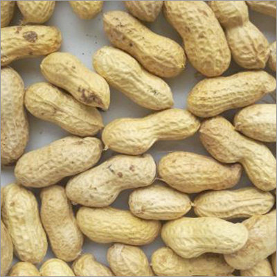 HPS Shelled Groundnuts