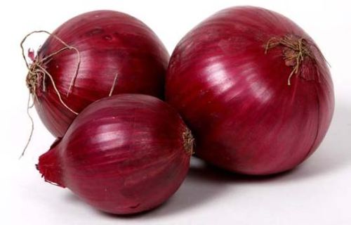 Fresh Red Onion