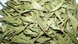 Stevia Leaves Dried