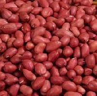 Peanut Or Groundnut