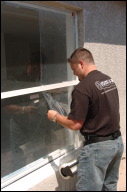 Window Films