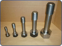 Steel Trunnion Bolts