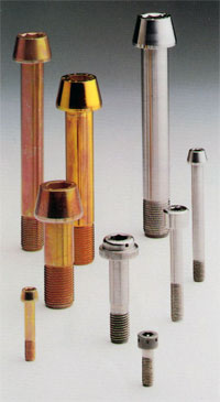 Alloy Steel Hex Socket Bolts