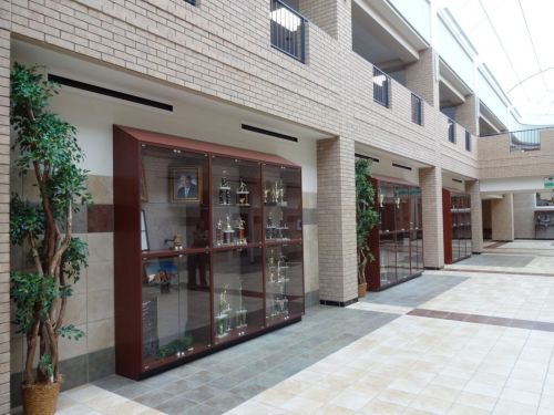 Combination Display Cases