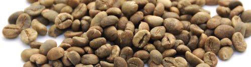 Coffee beans, Cultivation Type : Organic