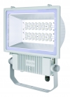 ECO LED Floodlight