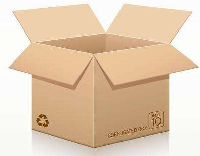 Corrugated Carton