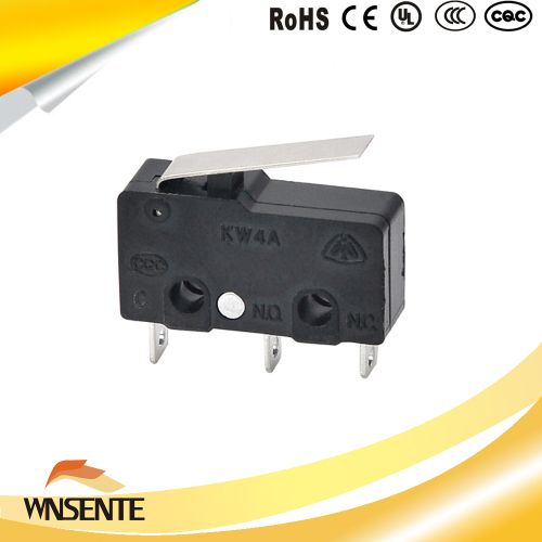 Leveraged ESOP Micro Switch